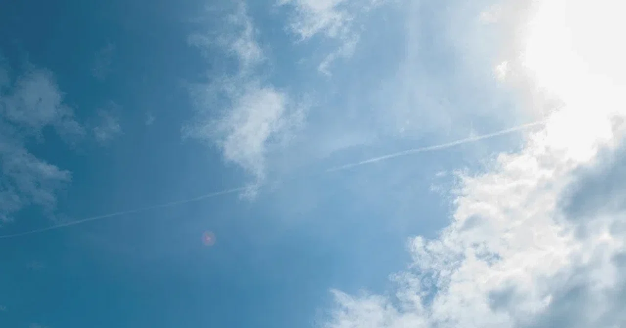 Dear 8-year-old me. They say cars are going to fly.｜おいも