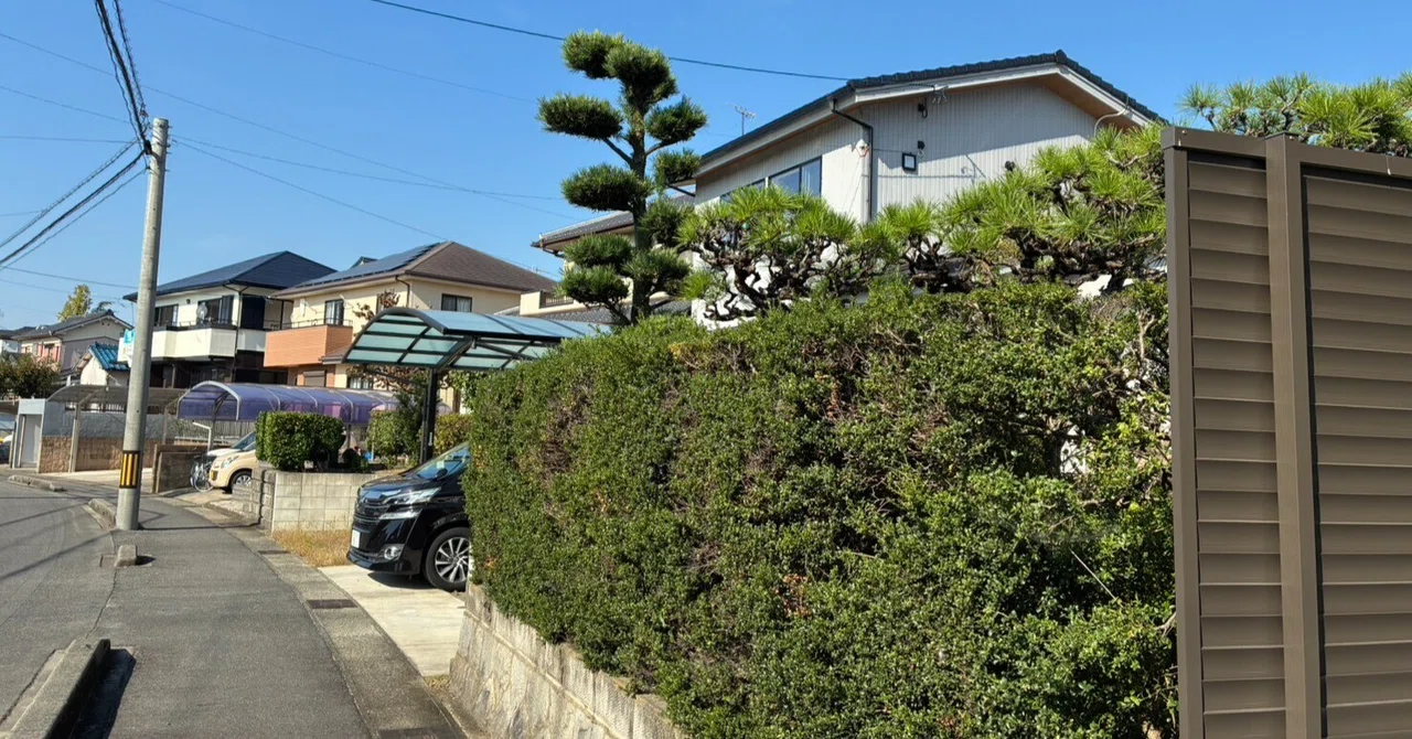 Pruning Maki Trees and Trimming Satsuki and Hirado Azaleas: Maintaining ...