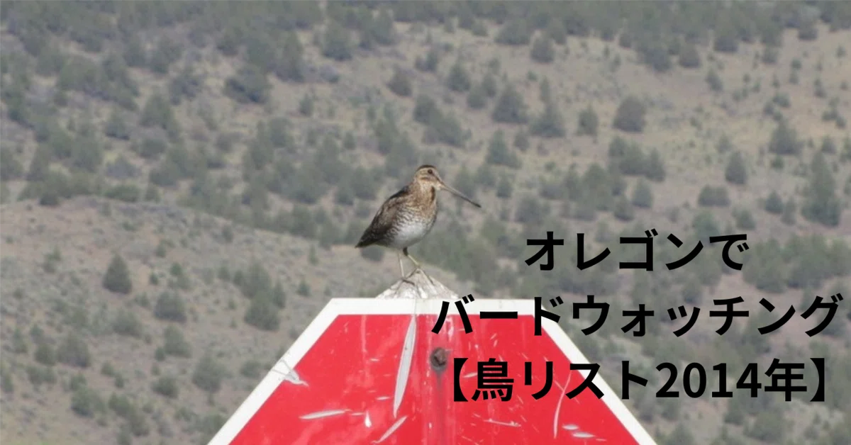 Birdwatching in Oregon, USA [Bird List 2014]｜ふじもとひさし