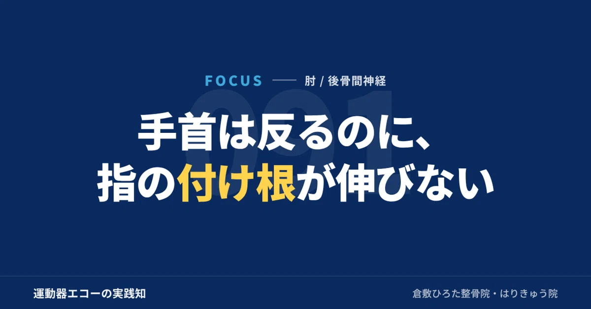 The wrist can extend, but the base of the fingers cannot｜FOCUS｜For ...