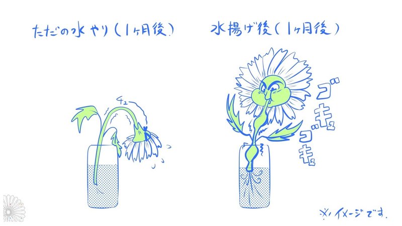 雑な切り口こそ命 菊の水揚げ カイカトカイガ Note