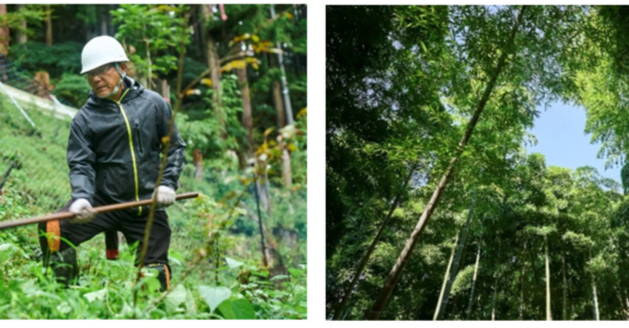 Amazon Japan invests 220 million yen in the restoration of 20 forests ...