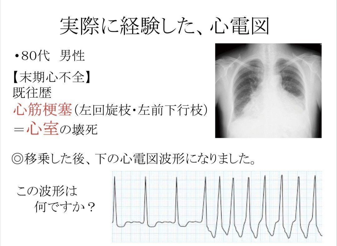 画像12