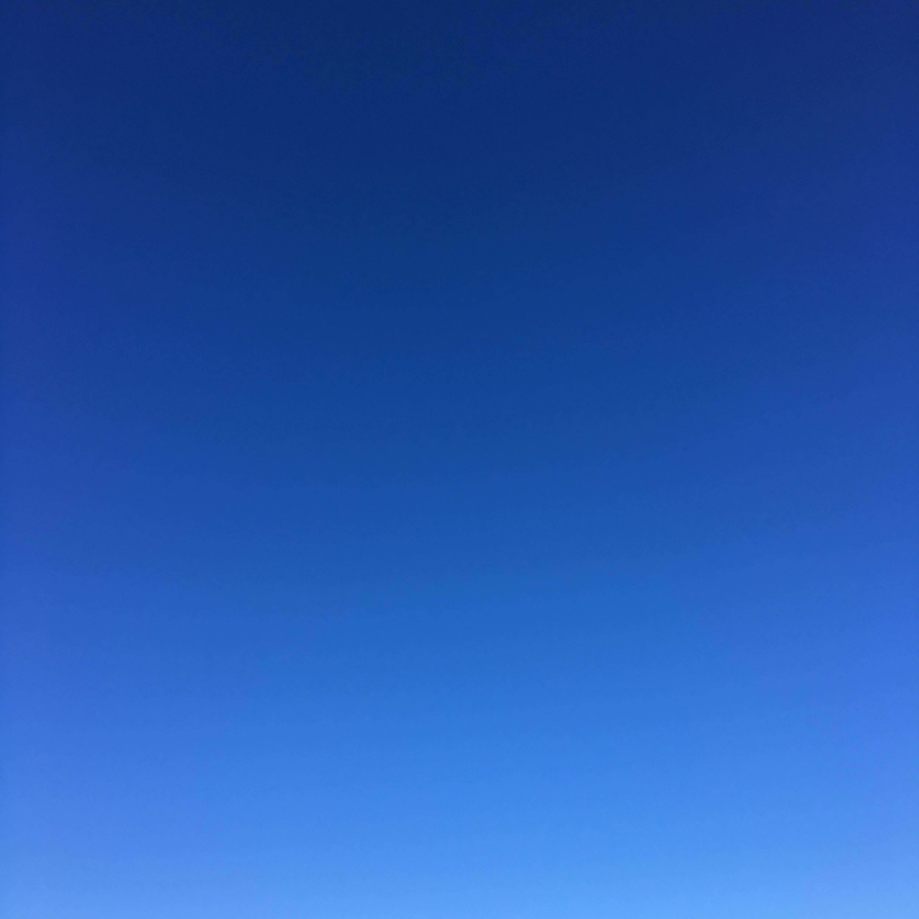 青い 青い 空。 混じり気のない 深い青。 深くて 高い 青い空。 #つぶ