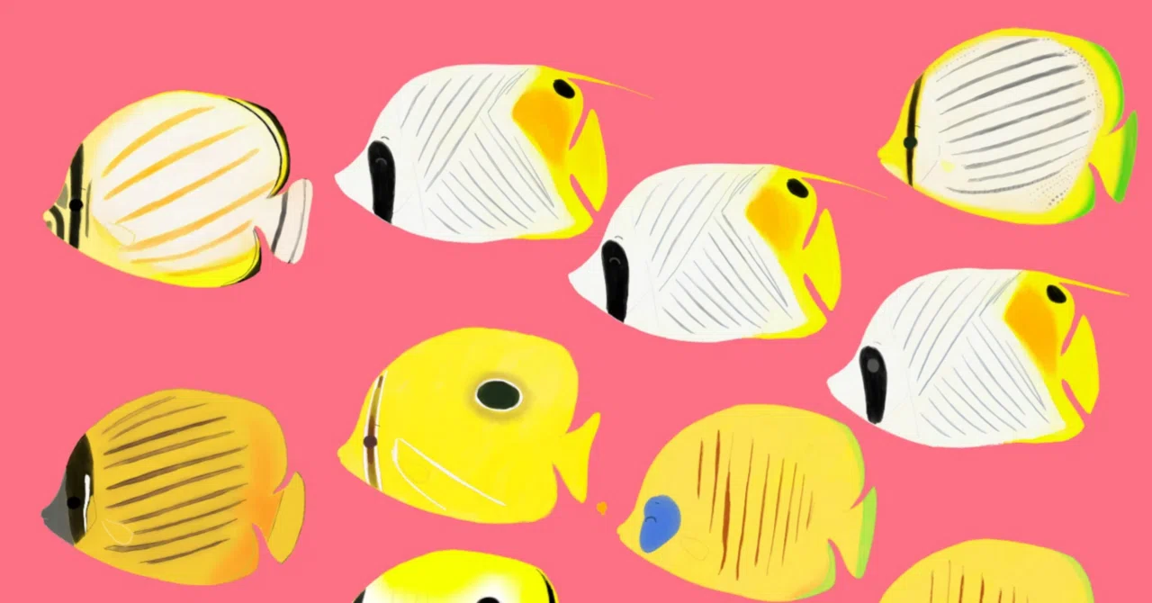 Can I put the fish I bought into the tank right away?｜ジョッキ07@海水おじさん