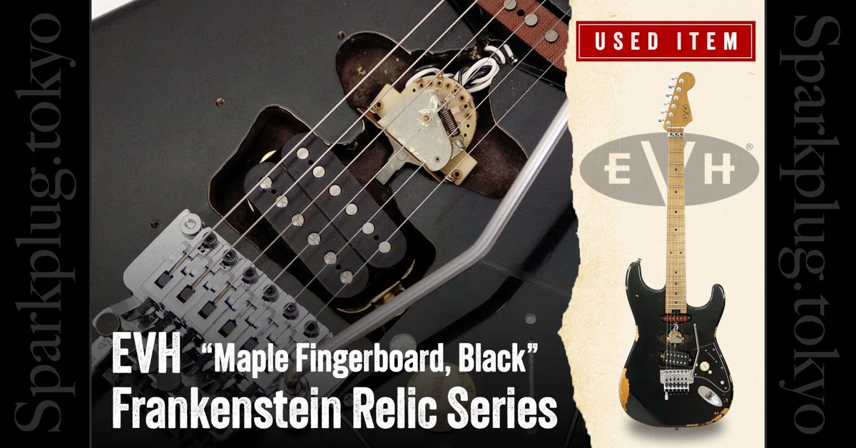 Special Selection Used Item! The EVH Brand 