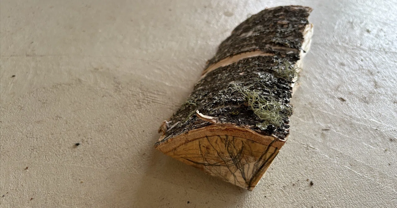 [Woodworking Project #081] A Day Experiencing the “Triple-C” Method for ...