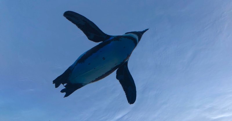 前世と来世と今の幸せ 捨石帰一 Note