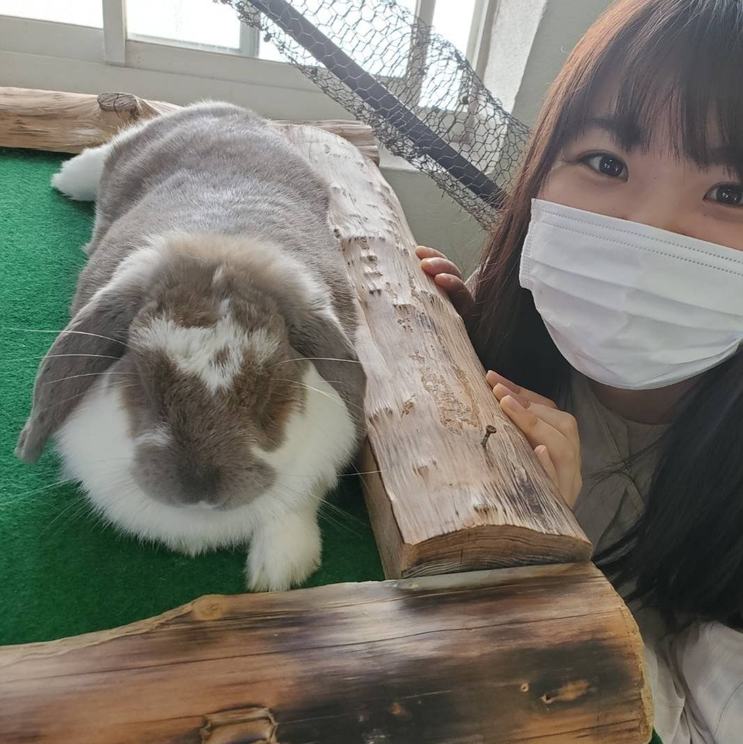 動物かわいい 阿蘇ファームランド あ だち Note