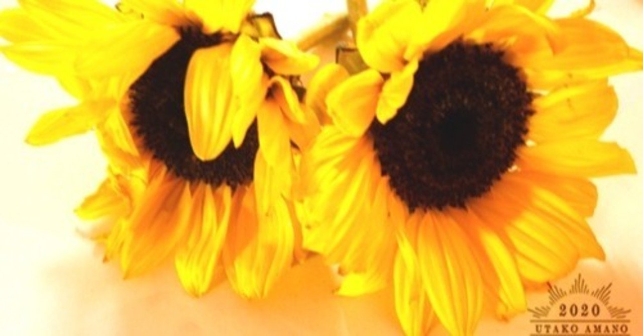 恋愛論 いとしいとしというこころ 天野詩子 Note