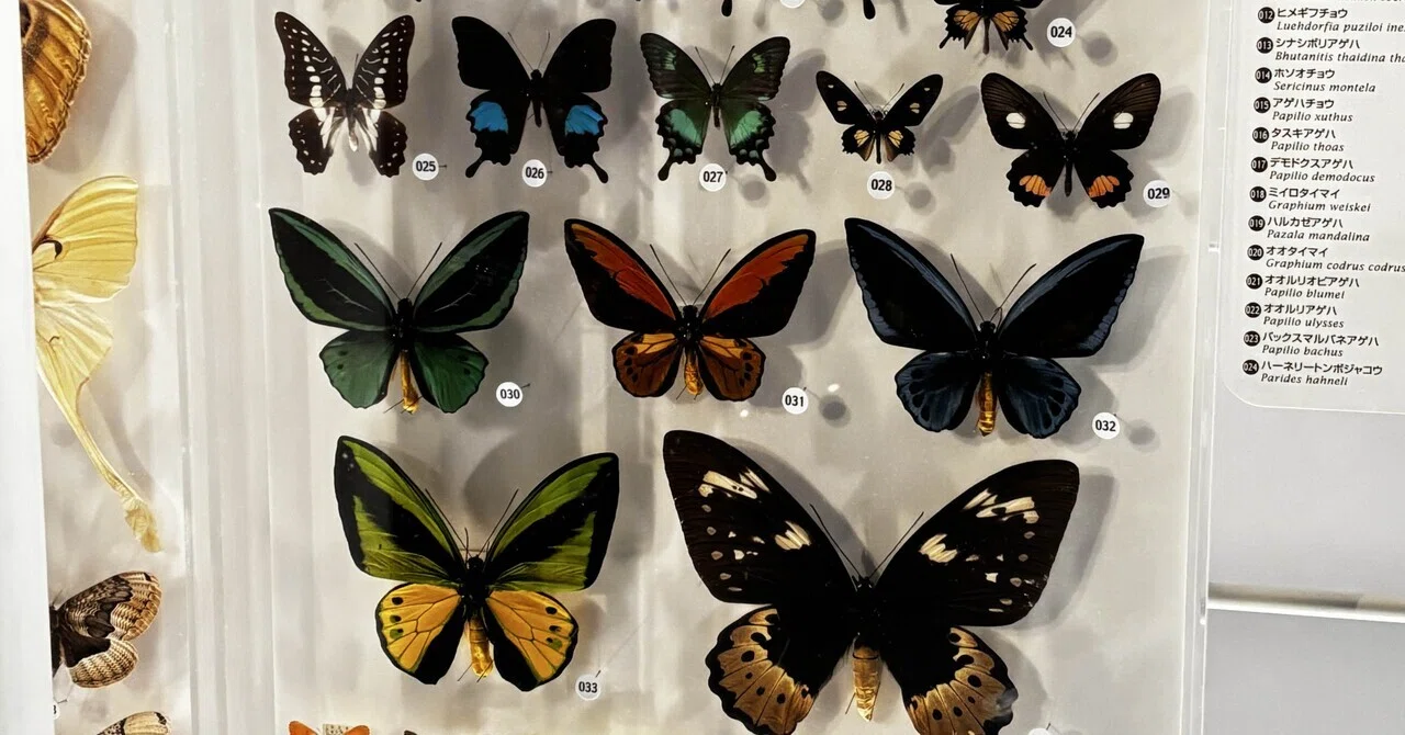 Small lives were more beautiful than jewels. National Museum of Nature ...