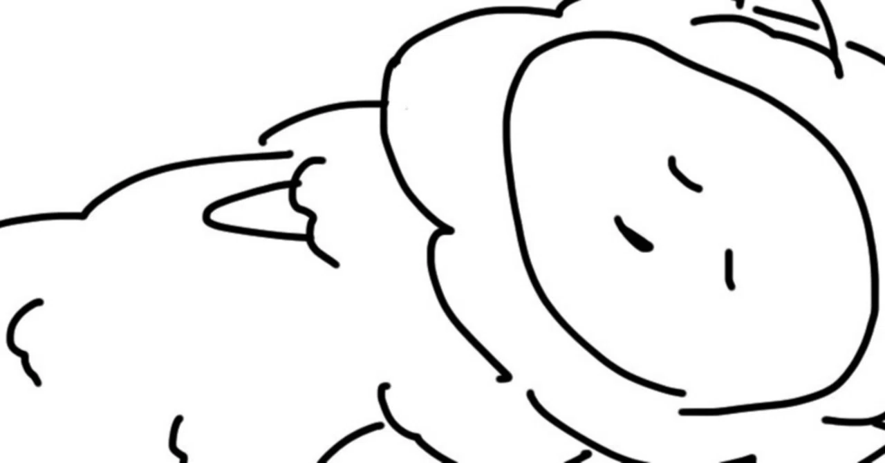 Tailwind CSS Fixed-Point Observation (Week 43, 2026)｜しーぷろ