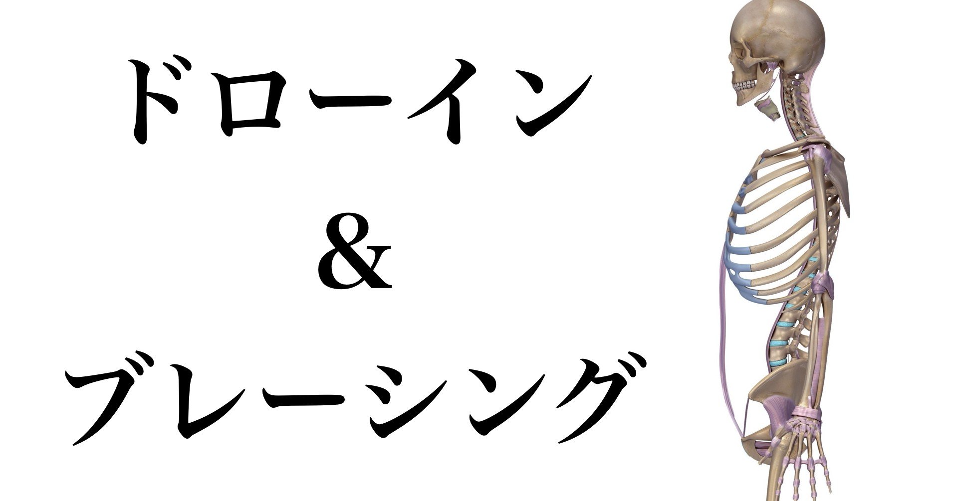 ドローイン と ブレーシング の役割と臨床で活用できる豆知識 薬師寺 偲 Shinobu Yakushiji Note