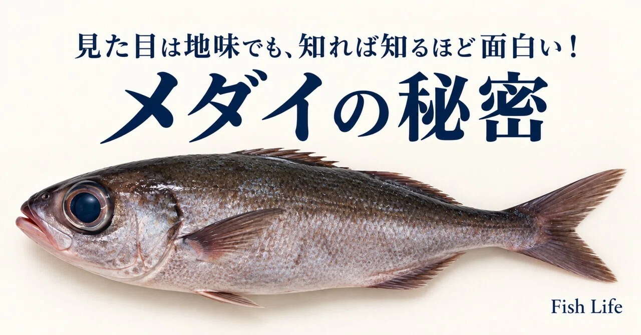 What Kind of Fish is the Medai? A Fishmonger's Guide to Checking ...