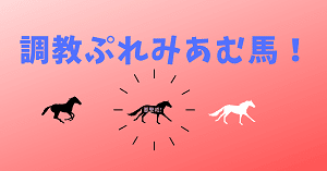 調教プレミアム馬！