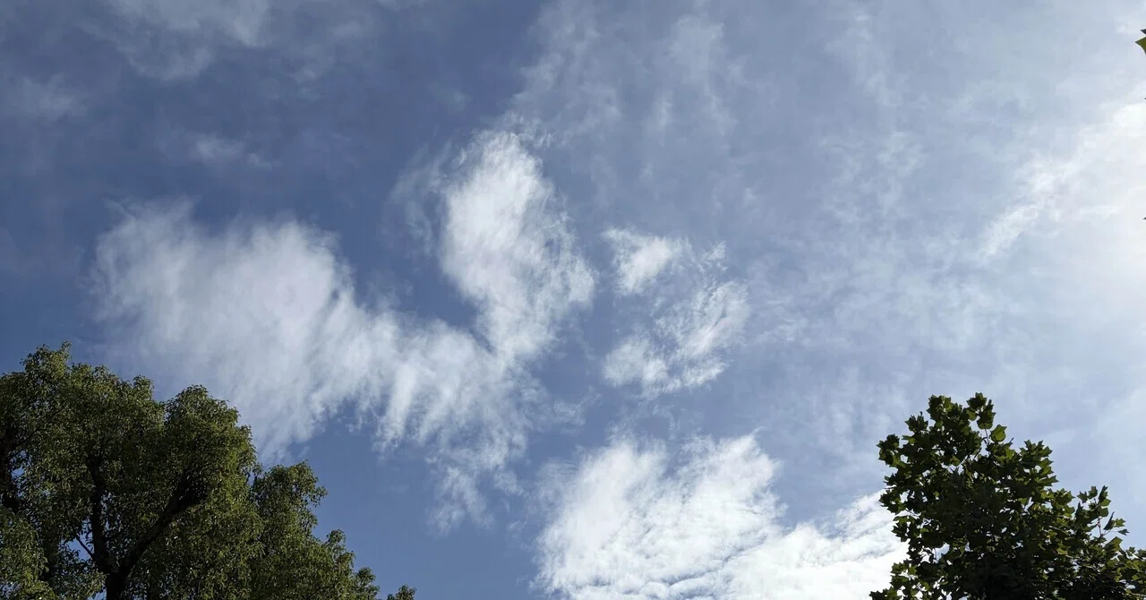 【Medicinal Cooking for the 24 Solar Terms: Frost's Descent】Moistening ...