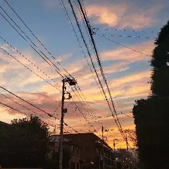 つむじ