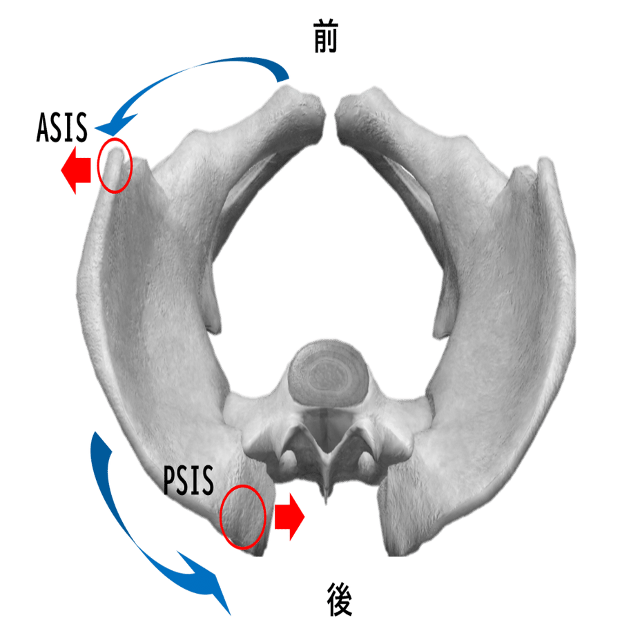 仙腸関節痛の理学療法評価〜臨床に繋がる知識と実践的評価方法〜｜理学