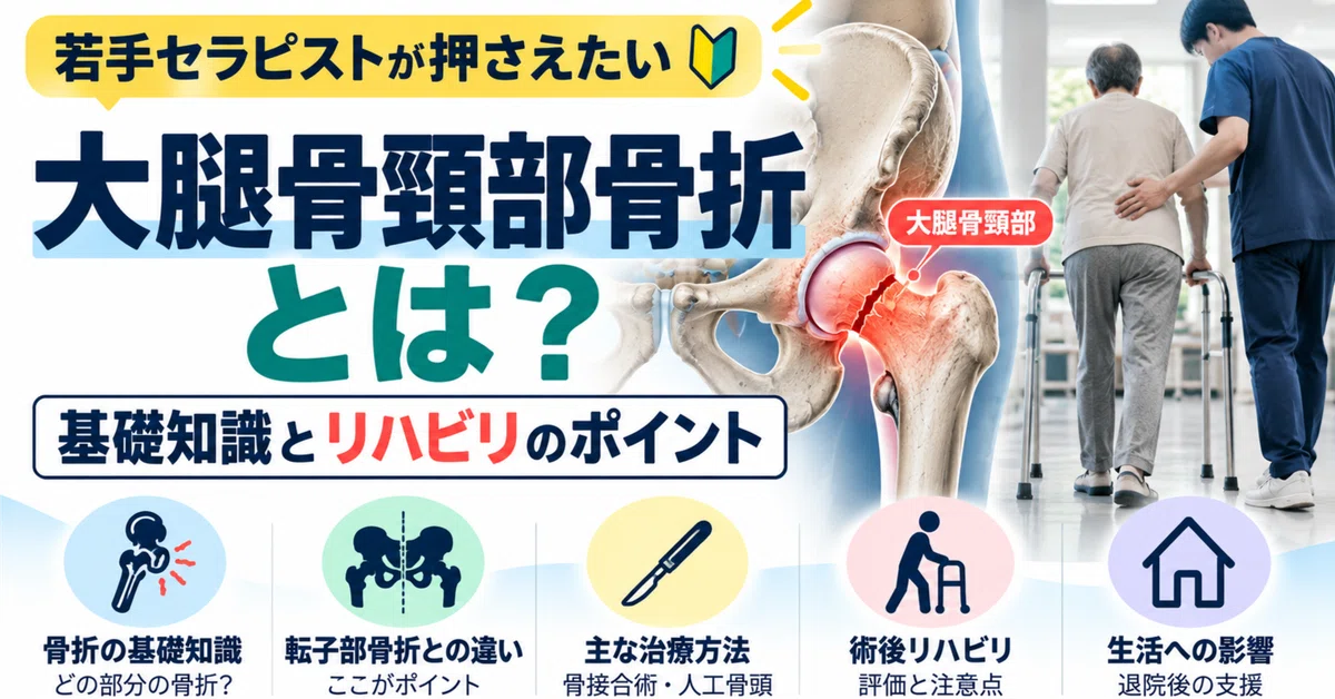 What is a Femoral Neck Fracture? | Basic Knowledge and Rehabilitation ...