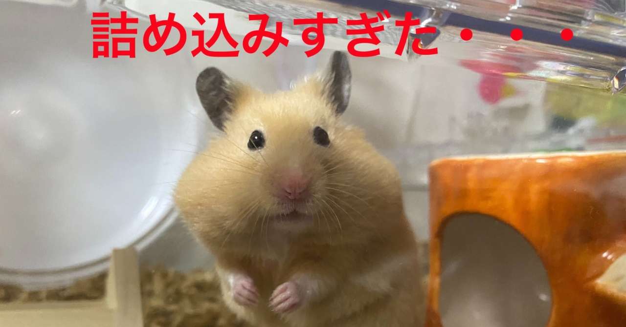 ハムスター飼育日記114日目と27日目 8 15 サトウショウヘイ Note