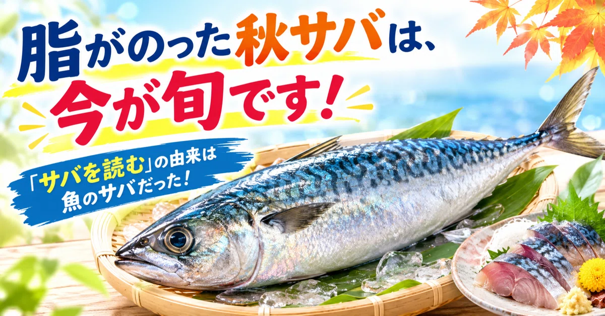 Fudging Fatty autumn mackerel is in season now! The origin of the phrase