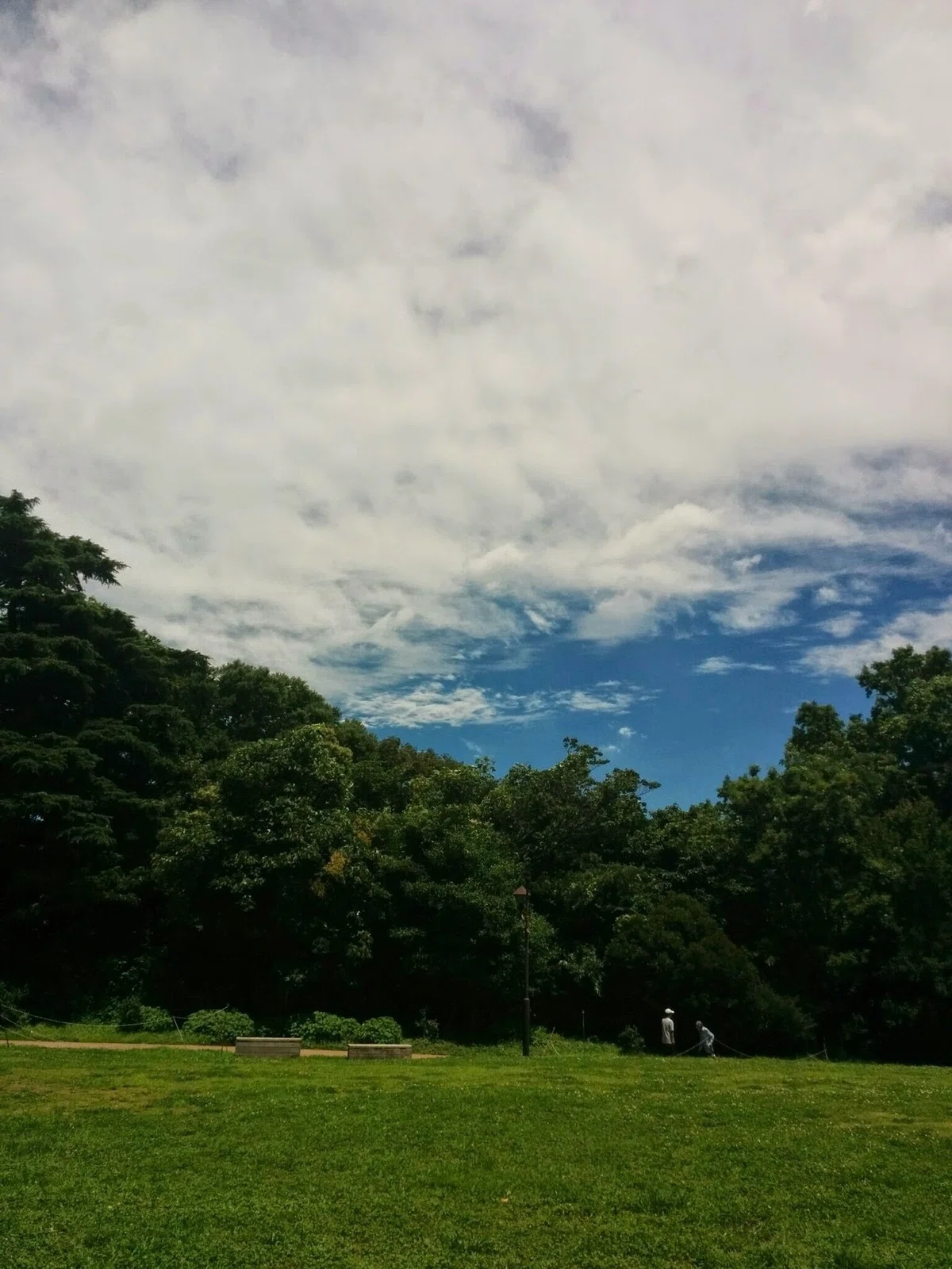 画像47