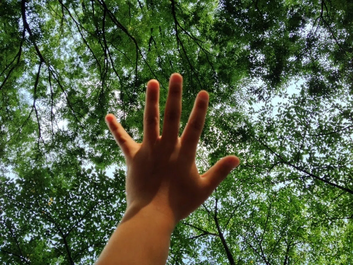 画像31