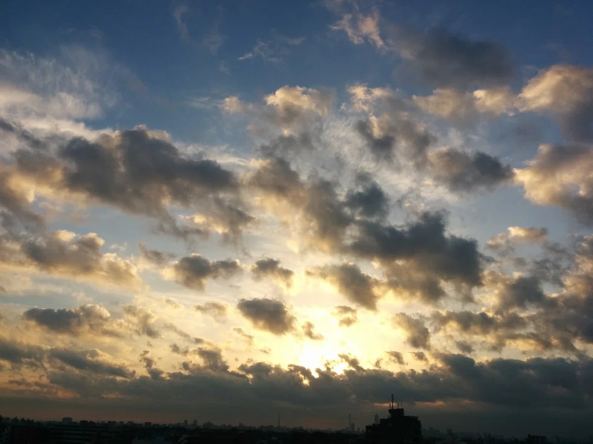 画像39