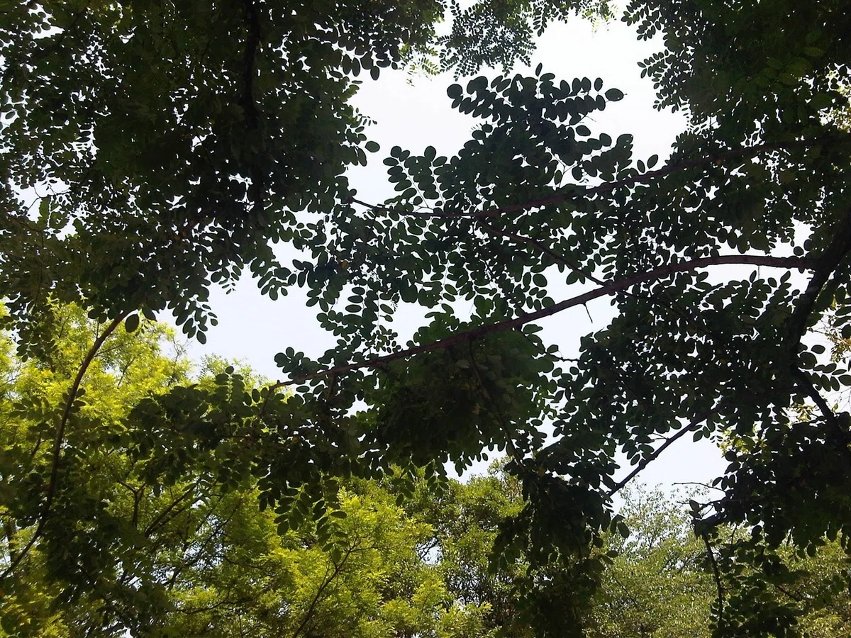 画像51