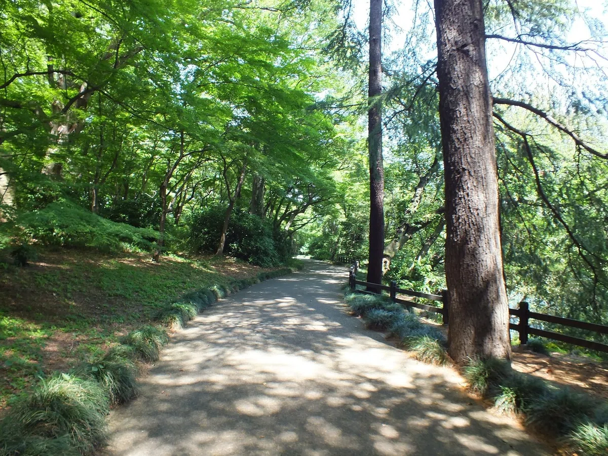画像24