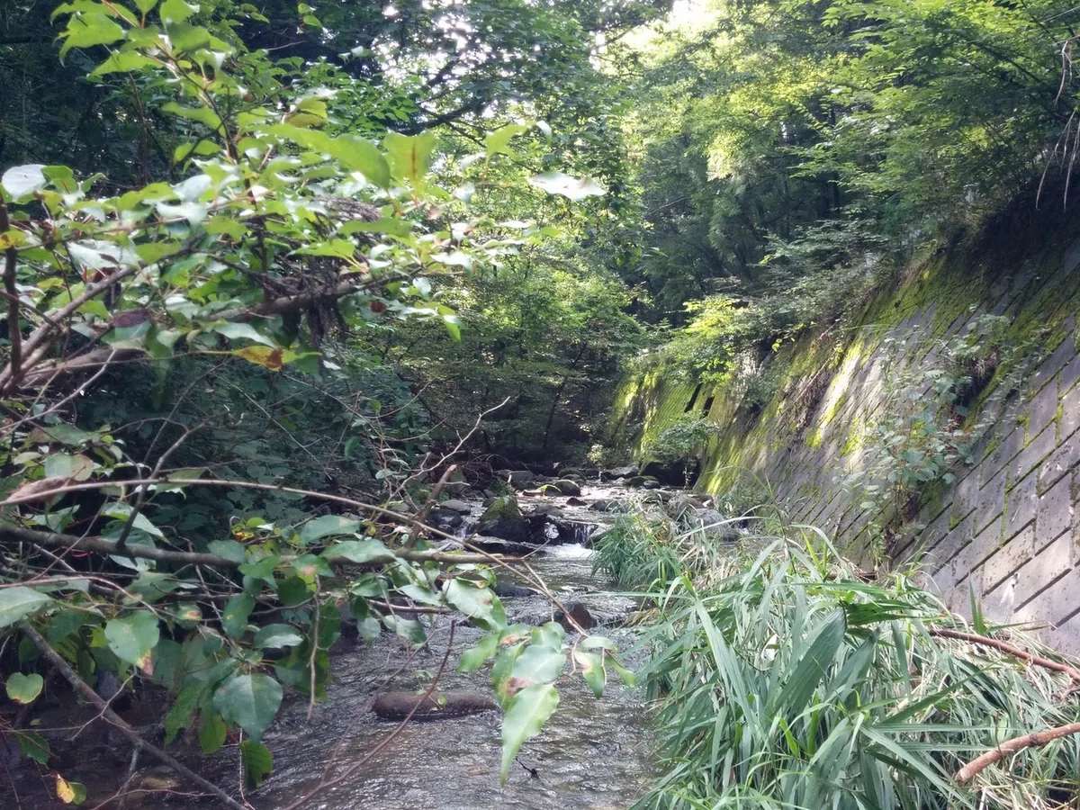 画像17