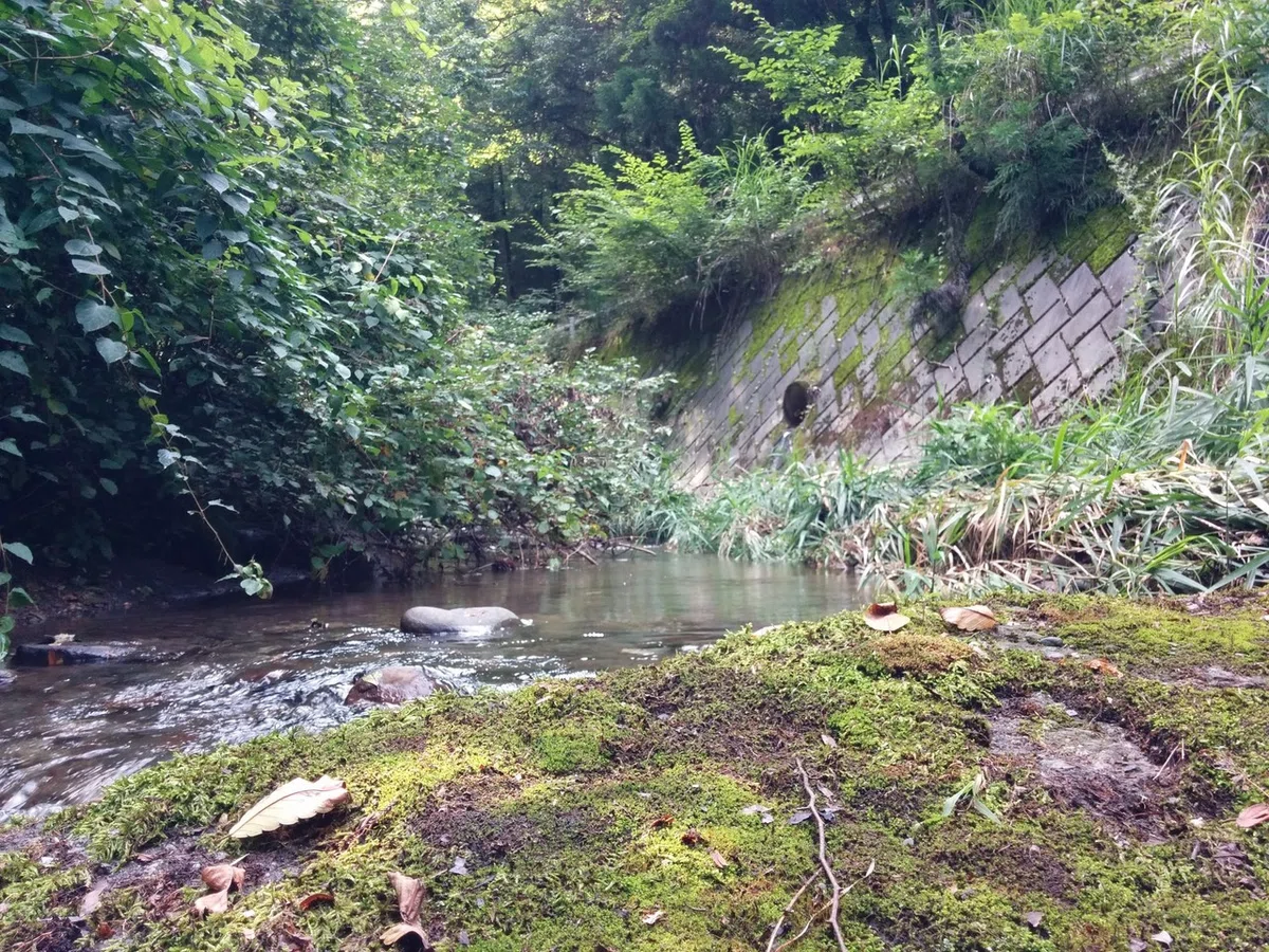 画像16