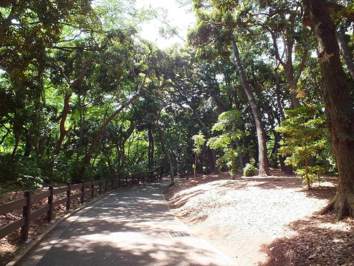画像22