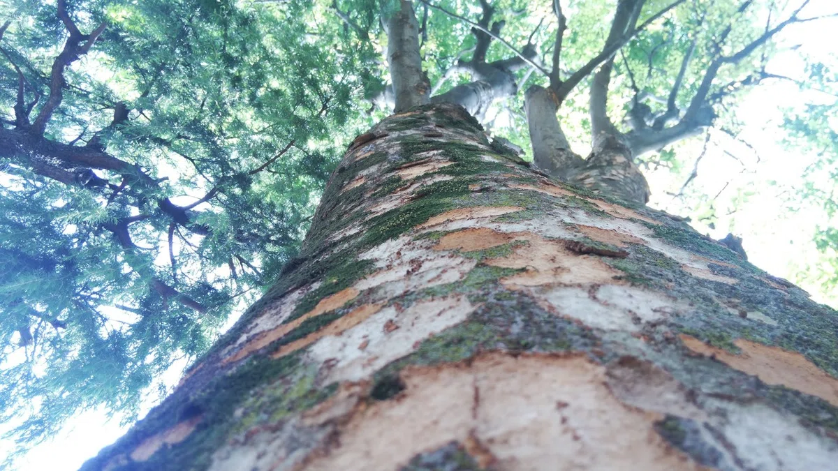 画像35