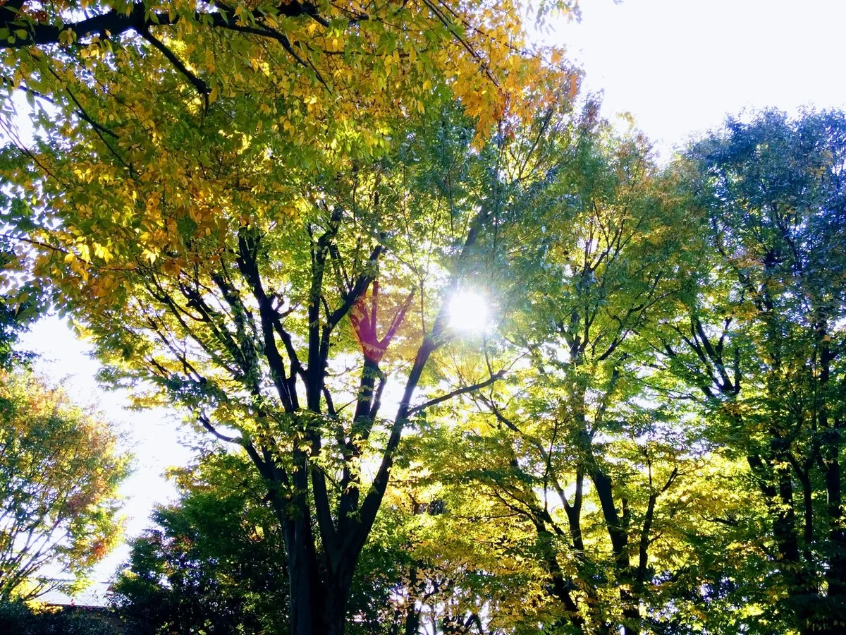 画像49