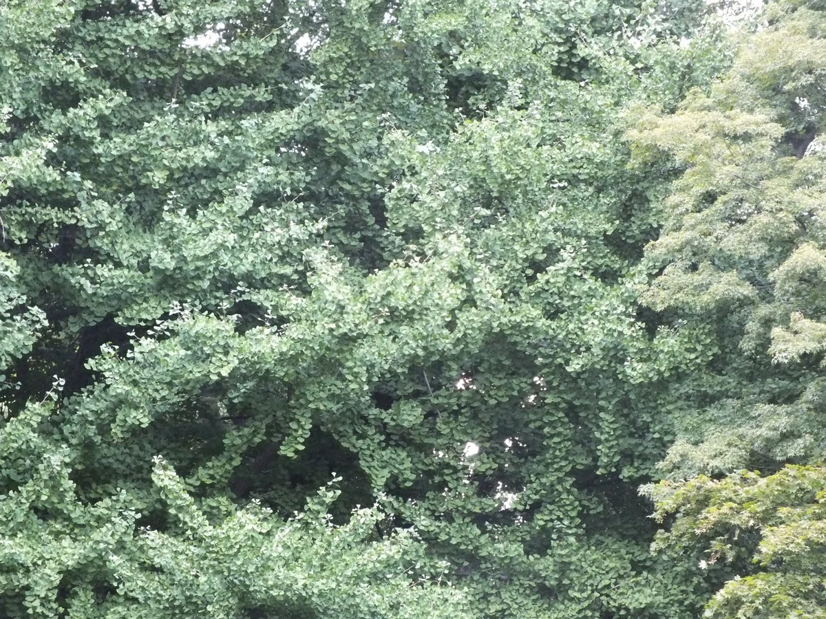 画像36