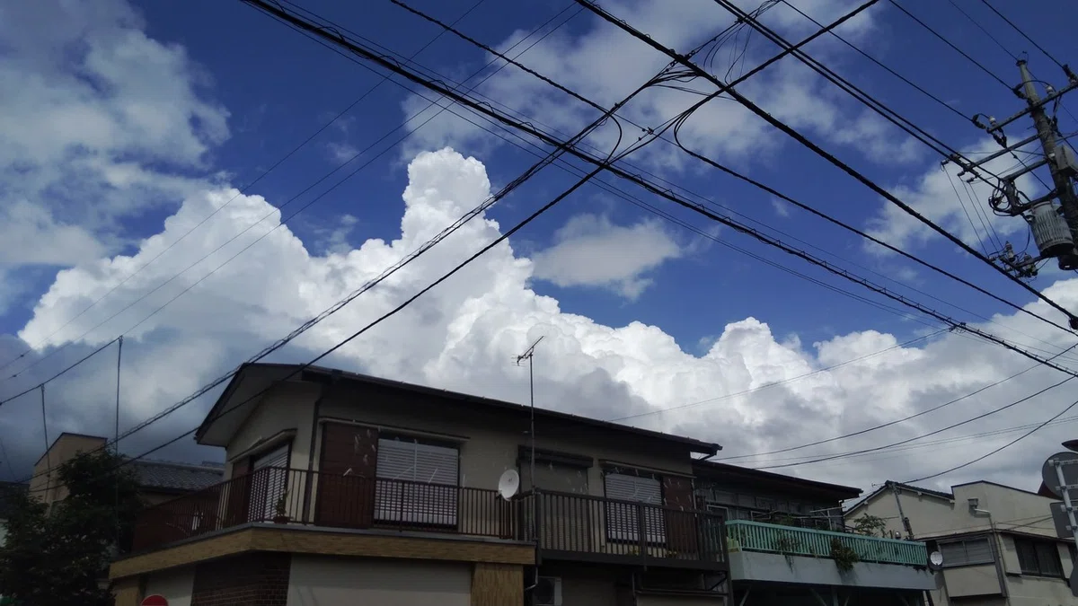 画像117