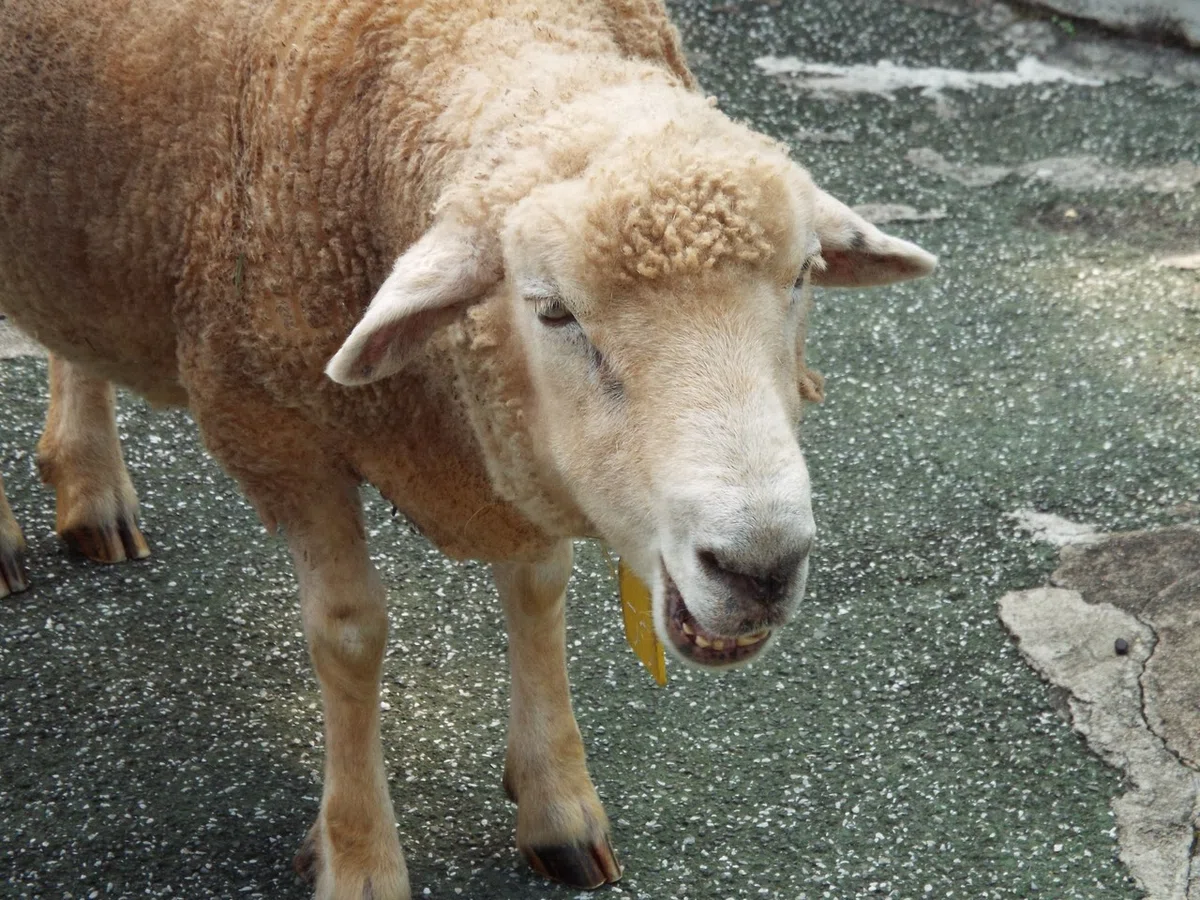 画像122