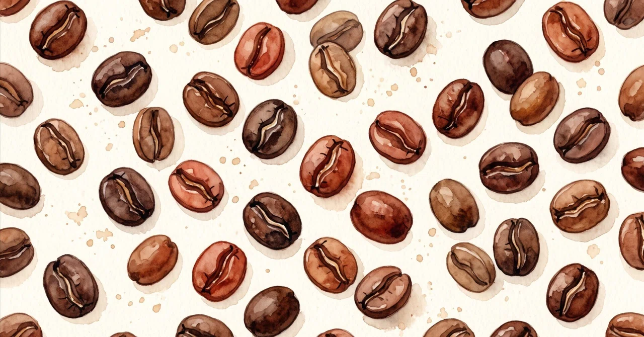 What is the difference between Washed and Natural?｜Rivavile