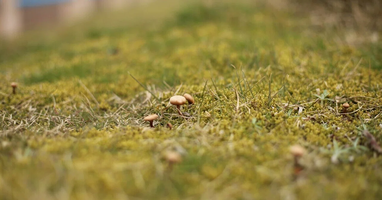 Even with few toys, the world is full of wonder. 