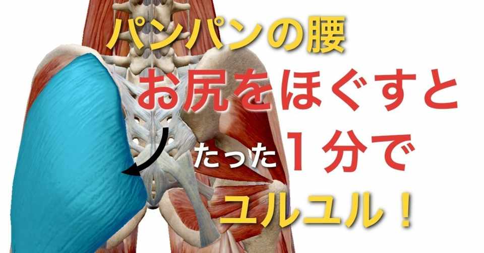 腰痛ケア パンパンに張った腰がたった1分でユルユルに 効果抜群の筋膜ケア お尻の筋肉編 Vol 3 黒田雄太 腰痛改善カレッジ Note