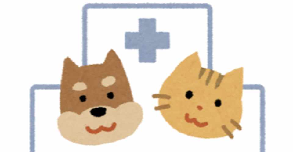 動物看護師 Vn について Kc Vnfp Note