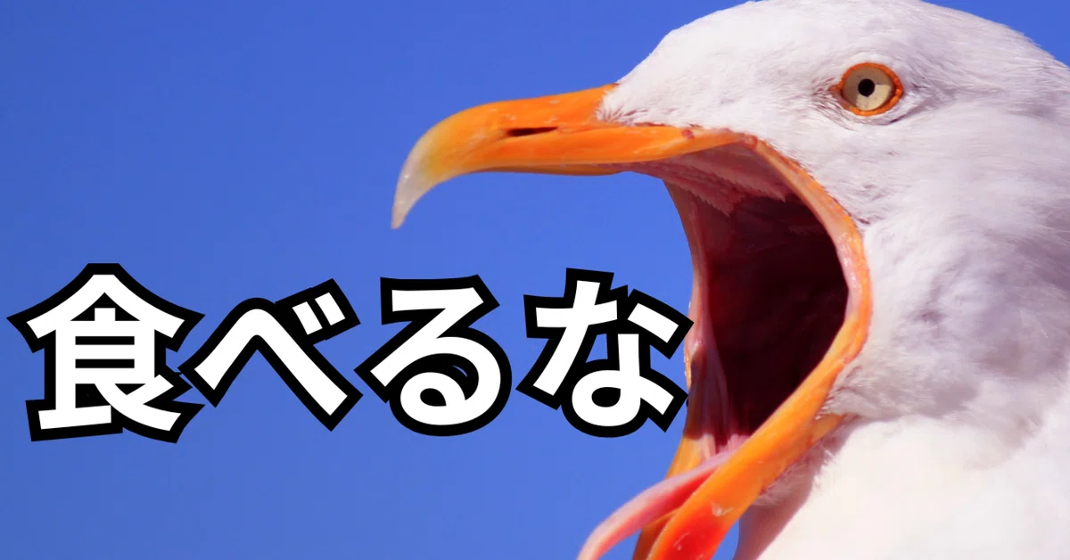 [Food Culture and Biology] Why don't humans eat 'seagulls'? A thorough ...