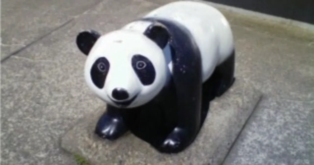 純資産3,200万円台に戻った週明け。MXNがじわり戻し、HUFはMA25を突破した｜FXキャリートレード日記 2026.10.20｜おがさん