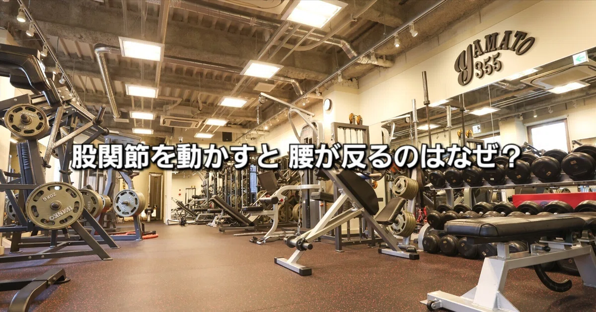 Nagoya Fushimi / What is the cause of lower back arching when moving ...