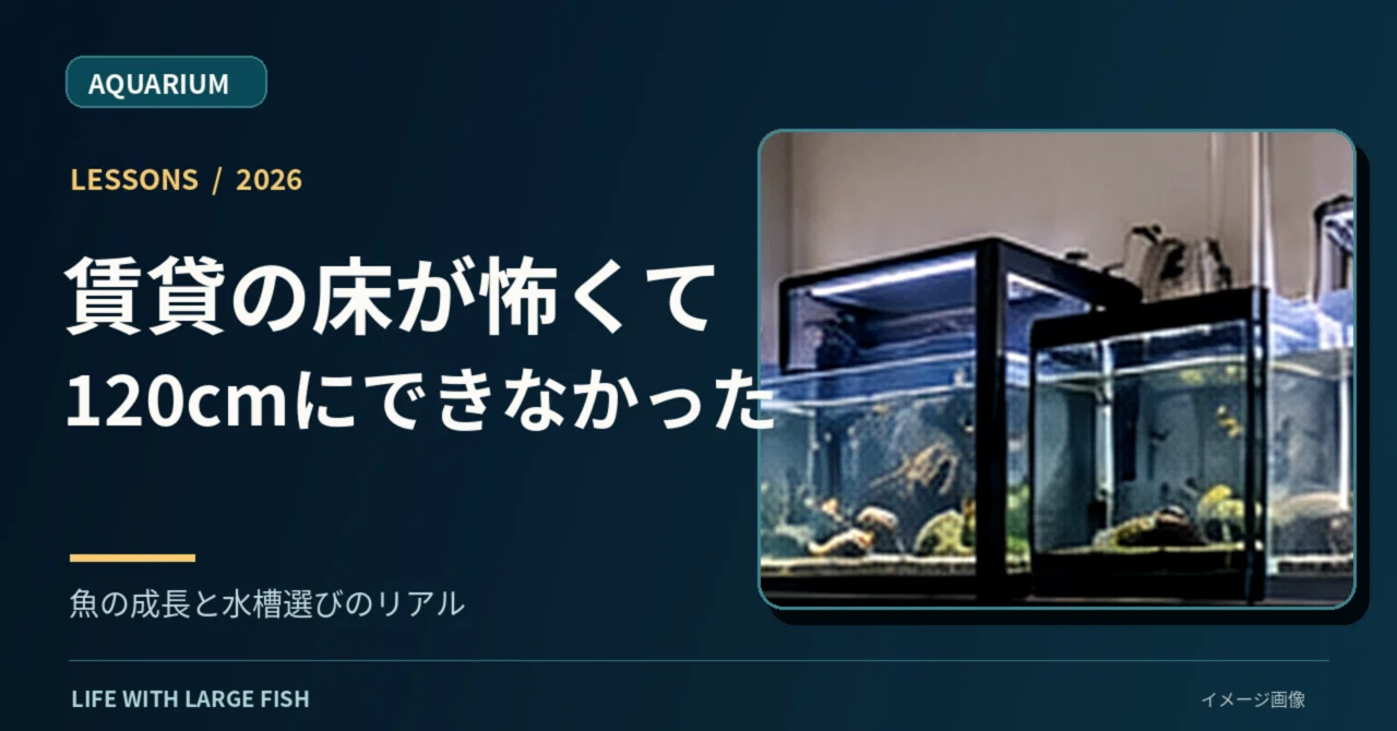 A 90cm tank is too small for an Arowana. But the story of why I couldn ...