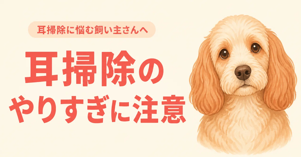 [Explained by a Groomer] Can Over-Cleaning Your Dog's Ears Lead to ...