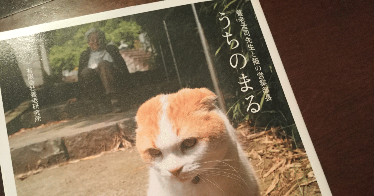 養老孟司先生と猫の営業部長 うちのまる 白猫コタロウ 桜猫ミミ コタミミ Note