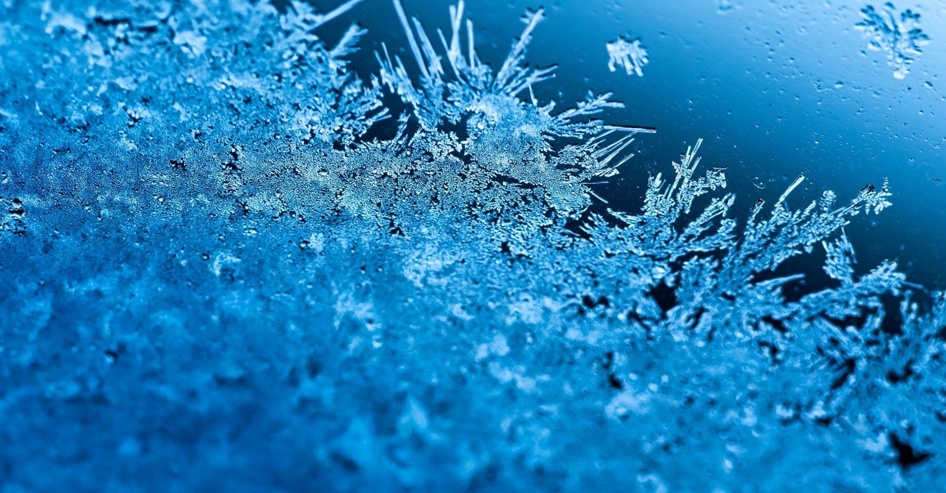 アナ雪 にヒロインが2人必要な理由 瀧波 わか Note アナ雪 にヒロインが2人必要な理由 瀧波 わか Note