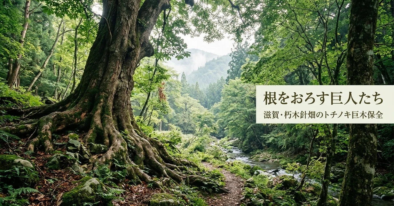 南長野運動公園の施設概要とアクセス徹底ガイド！指定管理の運営体制から料金・評判まで全貌解剖